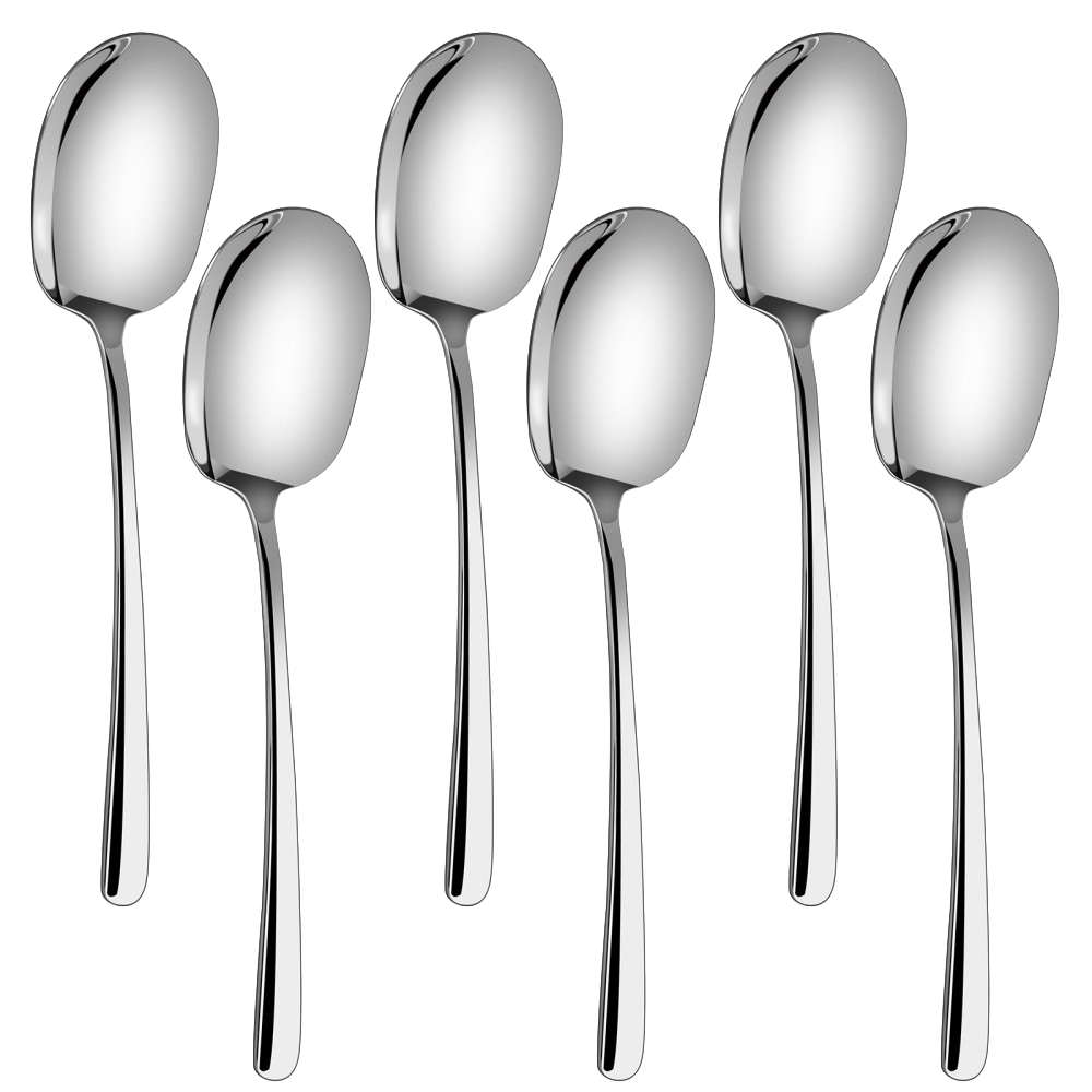 Serving Spoons Set of 12 - Large 12 Inch Stainless Steel Buffet Spoons