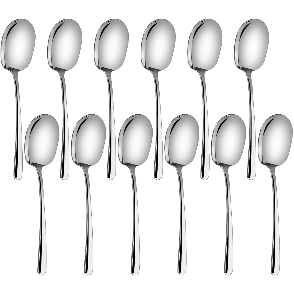 Serving Spoons Set of 12 - Large 12 Inch Stainless Steel Buffet Spoons